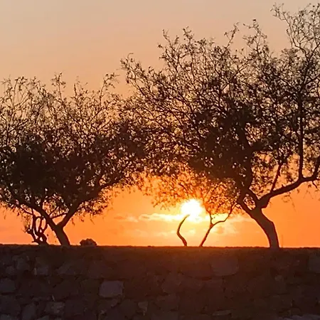 Apartment Cali Alcala (Tenerife)